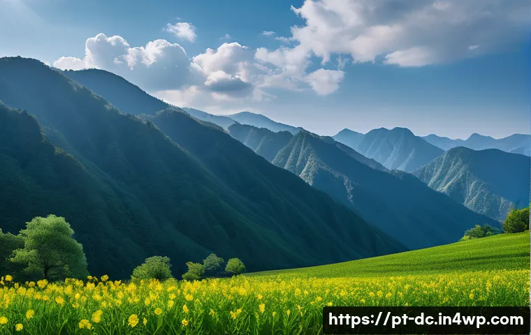 기후 변화 완화를 위한 생물 다양성 전략 관련 이미지 1