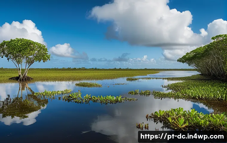 5 estratégias inovadoras para entender as soluções climáticas baseadas na natureza e transformar o futuro ambiental 3 자연 기반 기후 솔루션의 기초 연구 관련 이미지 1