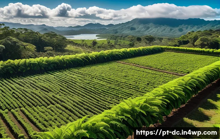 7 maneiras inovadoras de proteger as florestas e combater as mudanças climáticas juntos 3 산림 보호와 기후 변화 완화 연계 관련 이미지 1