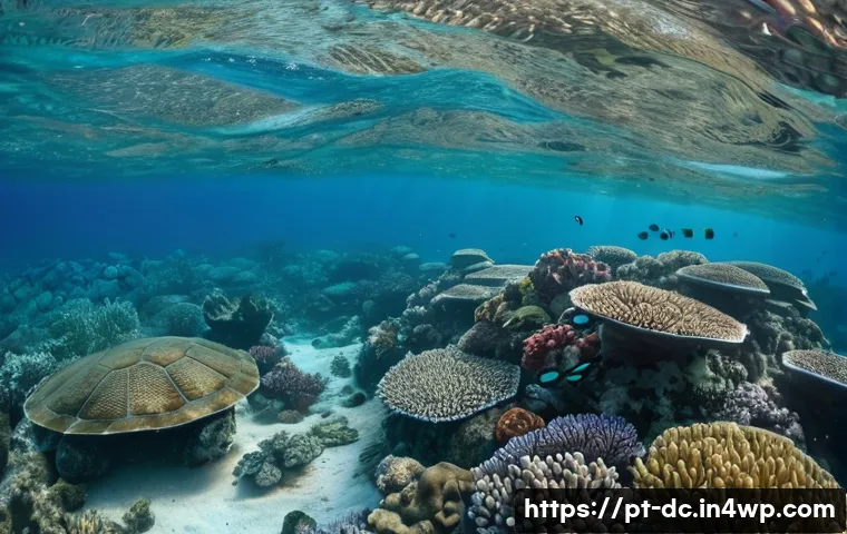 5 formas surpreendentes de como a biodiversidade influencia as mudanças climáticas que você precisa saber 3 생물 다양성과 기후 변화의 관계 관련 이미지 1