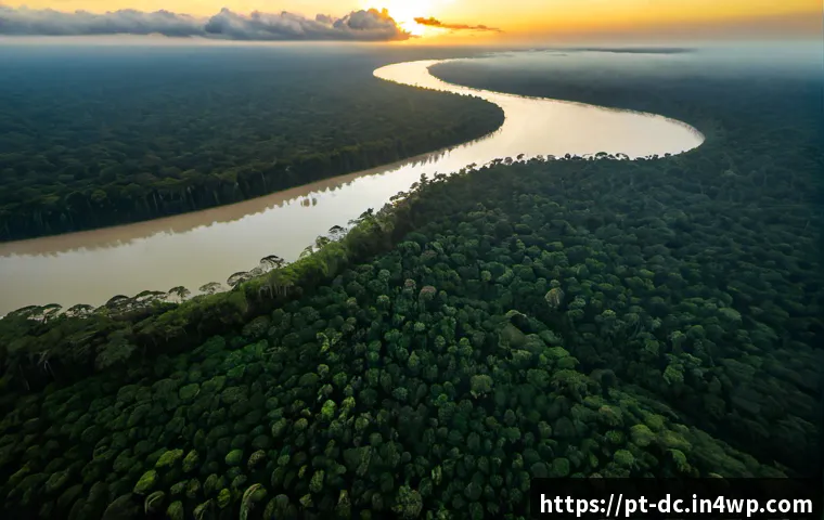 Home 17 아마존 열대 우림 보호와 기후 완화 - Photorealistic aerial view of a vast Amazon rainforest canopy at sunrise, a winding clear river refl...