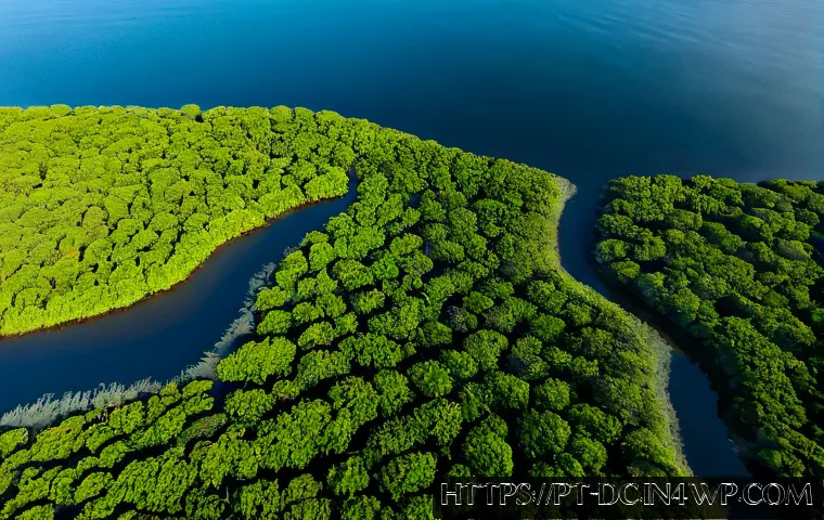Home 17 자연 기반 기후 솔루션의 효과 파악하기 - Photorealistic aerial view of a restored mangrove estuary on the Brazilian coast, dense green mangro...