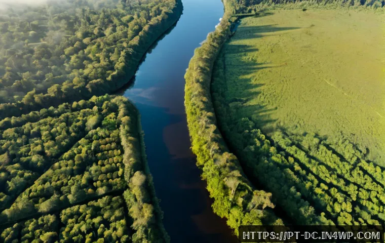 Home 17 자연 기반 기후 솔루션의 평가 기준 - Photorealistic aerial view of a restored Atlantic Forest wetland in Brazil beside a small rural comm...