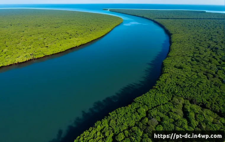 기후 변화 대응을 위한 생태계 서비스 활용 - Photorealistic aerial view of a restored mangrove coastline in northeastern Brazil, dense green mang...